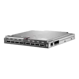 HPE 6Gb SAS BL Switch - Commutateur - 8 x SAS - Module enfichable - pour HPE D3600, D3610, D3700, D3710 BLc3... (BK763A)_1
